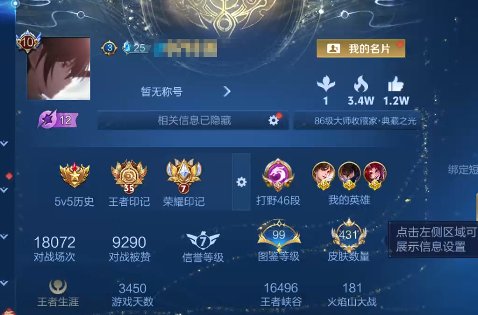 WZQM493590王者荣耀账号详情图9