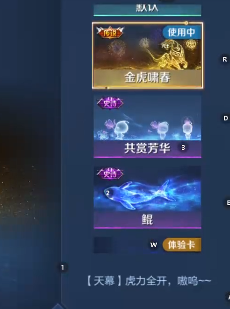 WZQM493590王者荣耀账号详情图5