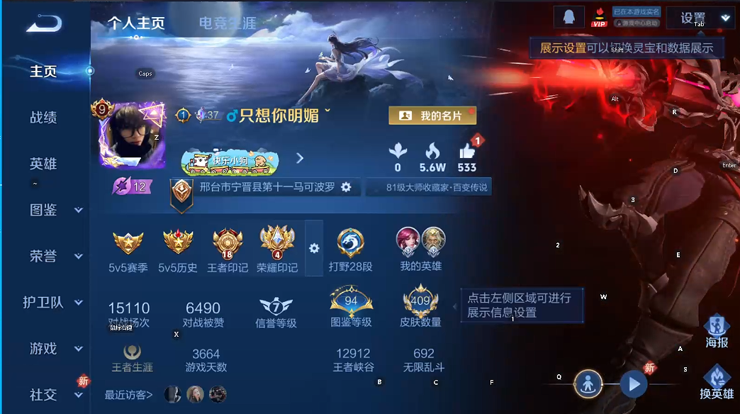 WZQM493733王者荣耀账号详情图5