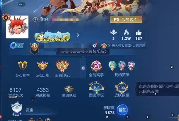 WZQM493610王者荣耀账号详情图11