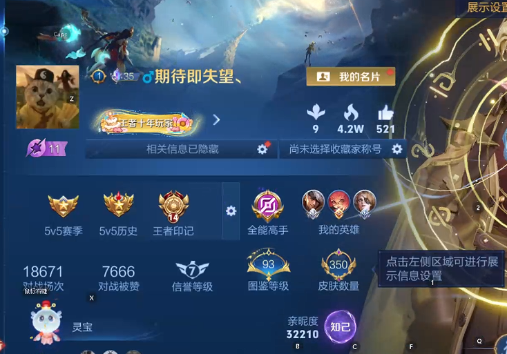 WZQM493630王者荣耀账号详情图7