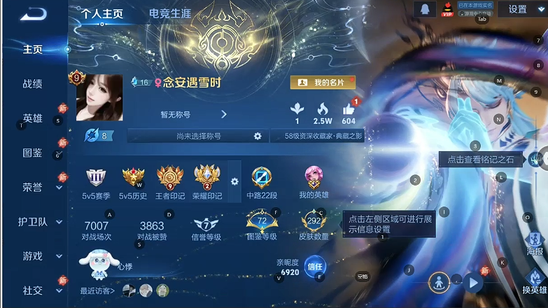 WZQM493599王者荣耀账号详情图5