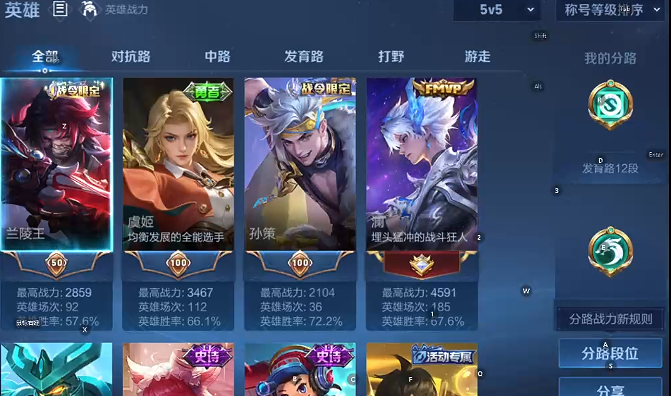 WZQM493695王者荣耀账号详情图9