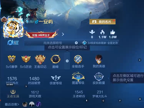 WZQM493695王者荣耀账号详情图10