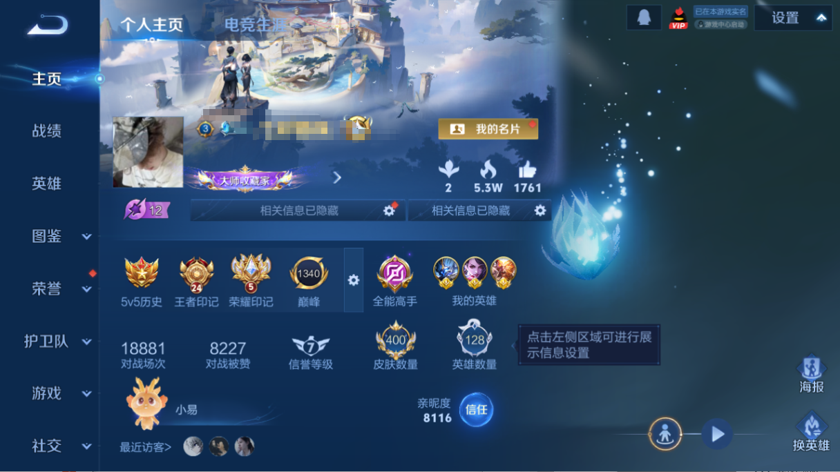 WZQM493673王者荣耀账号详情图12