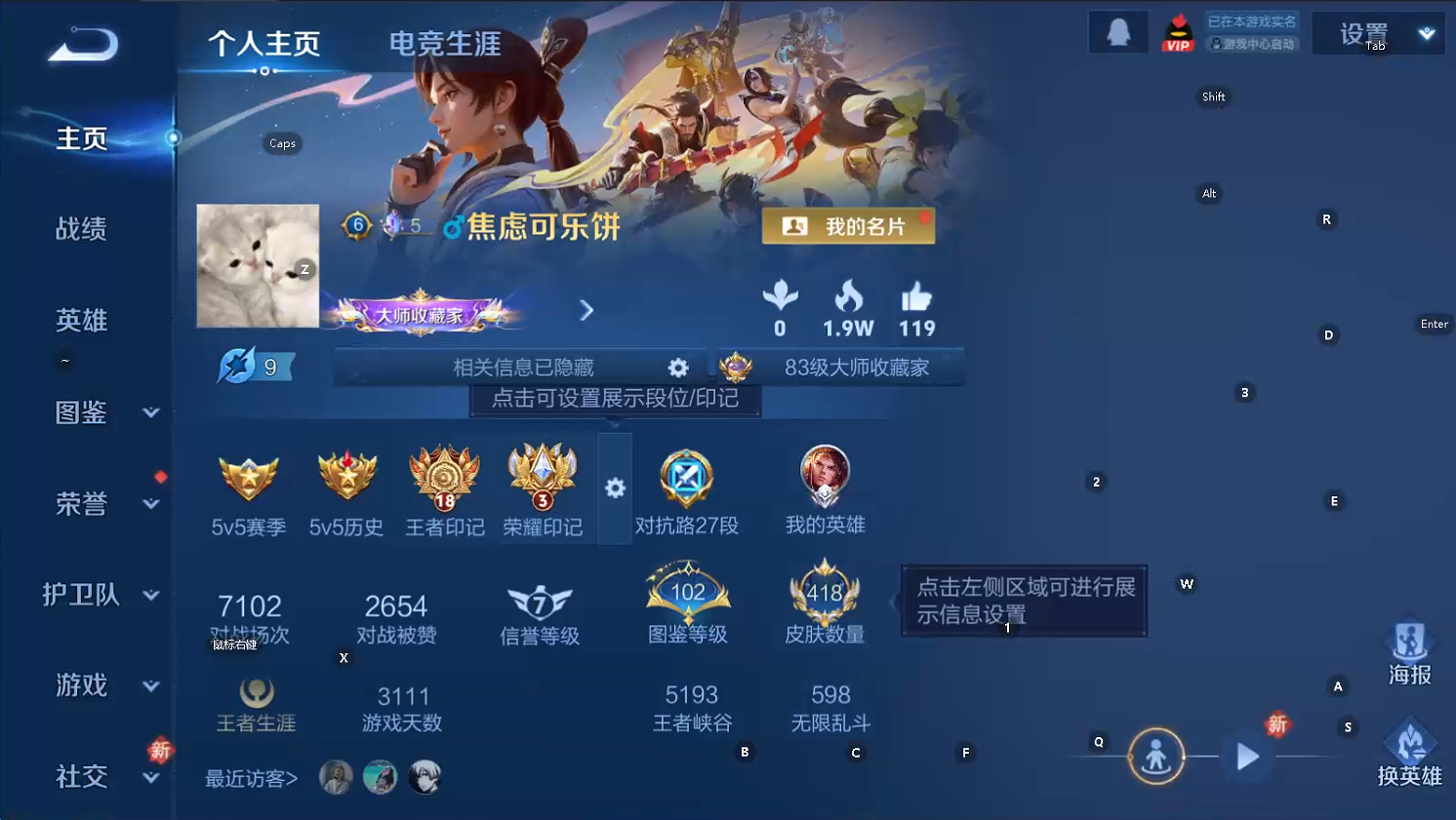 WZQM493664王者荣耀账号详情图9