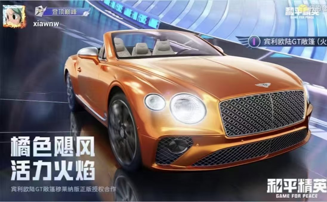 HPQM448904和平精英账号详情图3