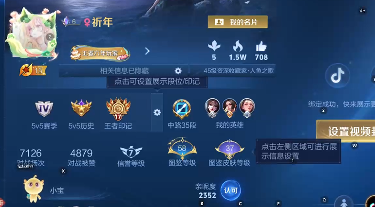 WZQM493979王者荣耀账号详情图11