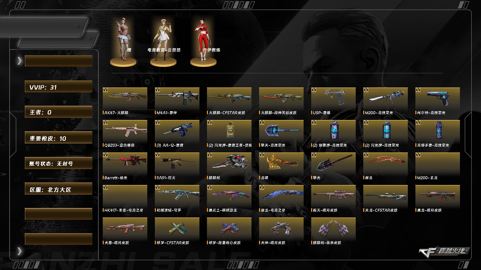 穿越火线账号北部战区北方大区9741/钱包已提交注销/北部/北方大区/可排位/段位未定段/Lv.88 中将1/VIP5/31V/