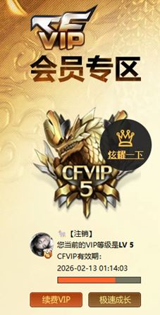 CFQM423244穿越火线账号详情图5