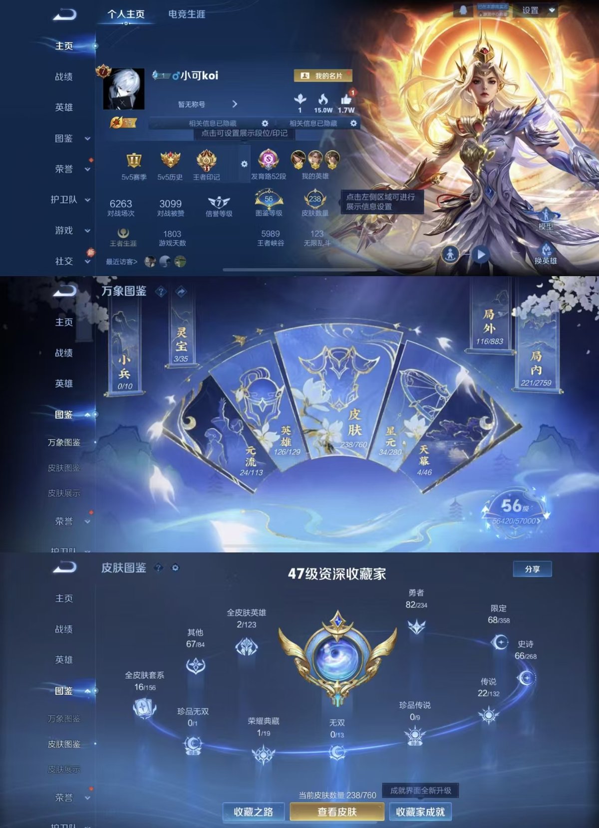 WZQM499994王者荣耀账号详情图7