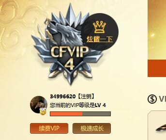 CFQM423329穿越火线账号详情图27