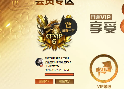 CFQM423384穿越火线账号详情图7