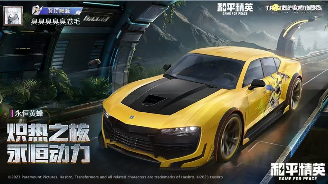 HPCMW456518和平精英账号详情图8