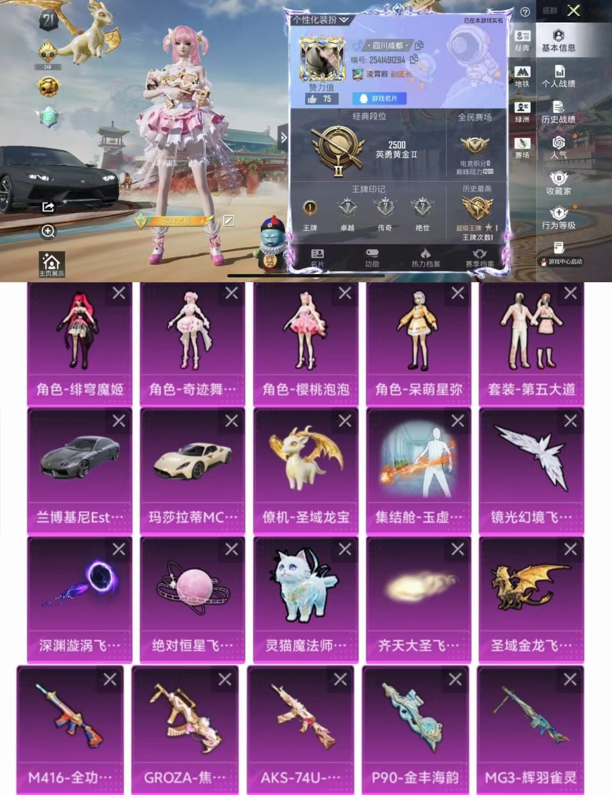 和平精英账号苹果QQ2载具-100套装-159枪皮-连体王者大贵八2典藏皮肤1无双皮肤15传说实名: 可修改 时装数: 