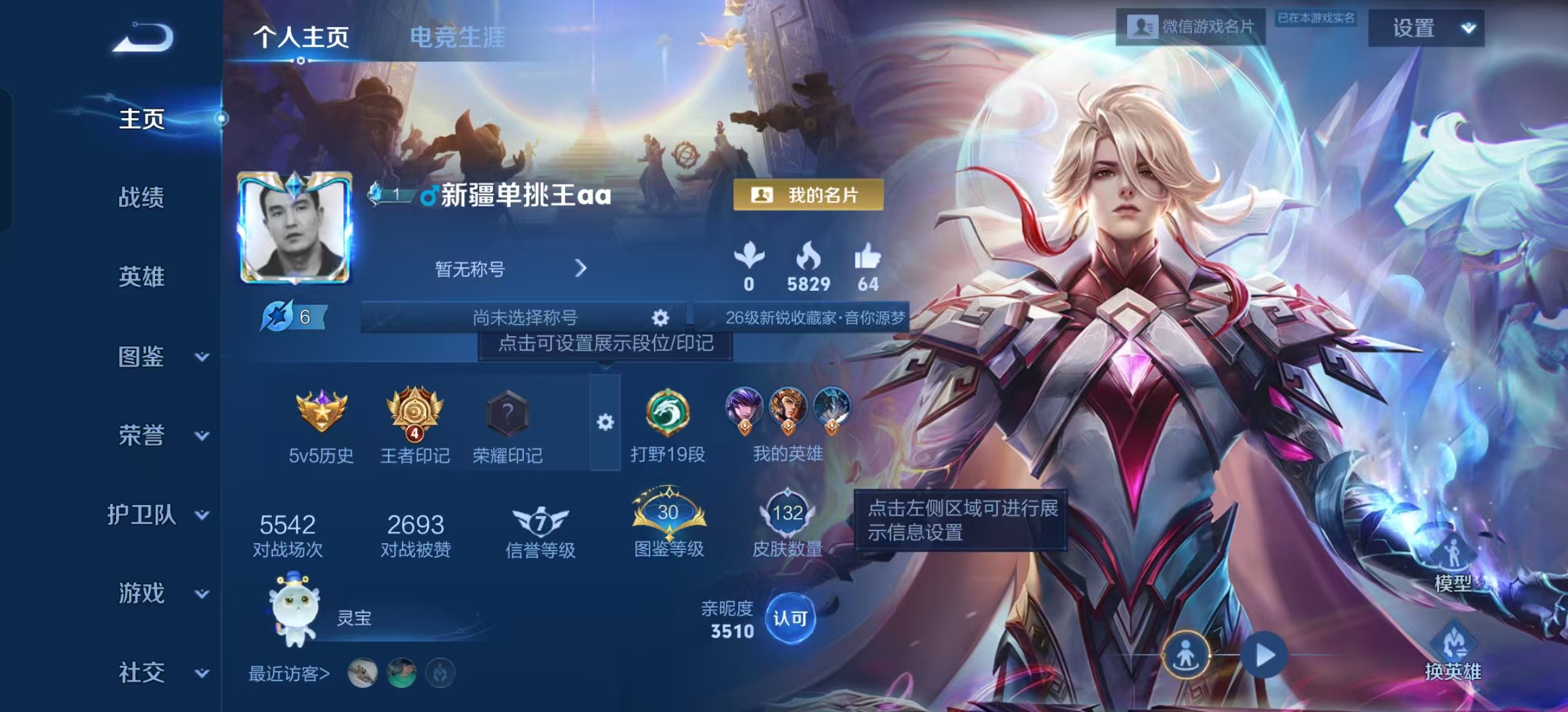 WZLX4221996王者荣耀账号详情图4