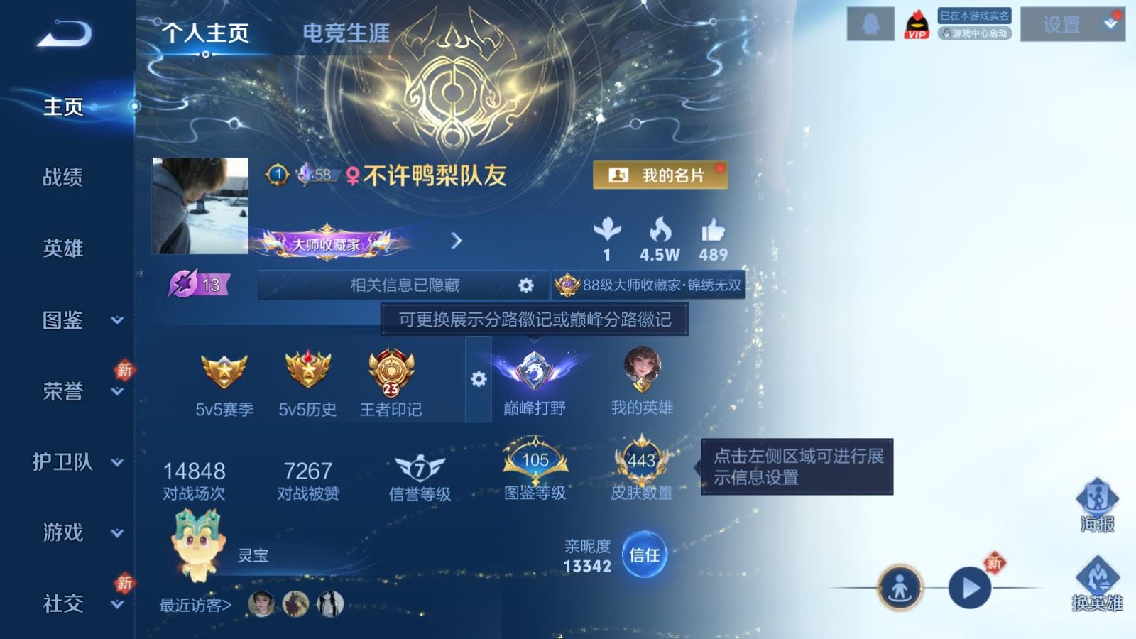 WZQM4135249王者荣耀账号详情图3