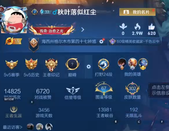 WZQM4177545王者荣耀账号详情图9