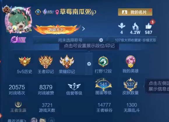 WZQM4206410王者荣耀账号详情图10