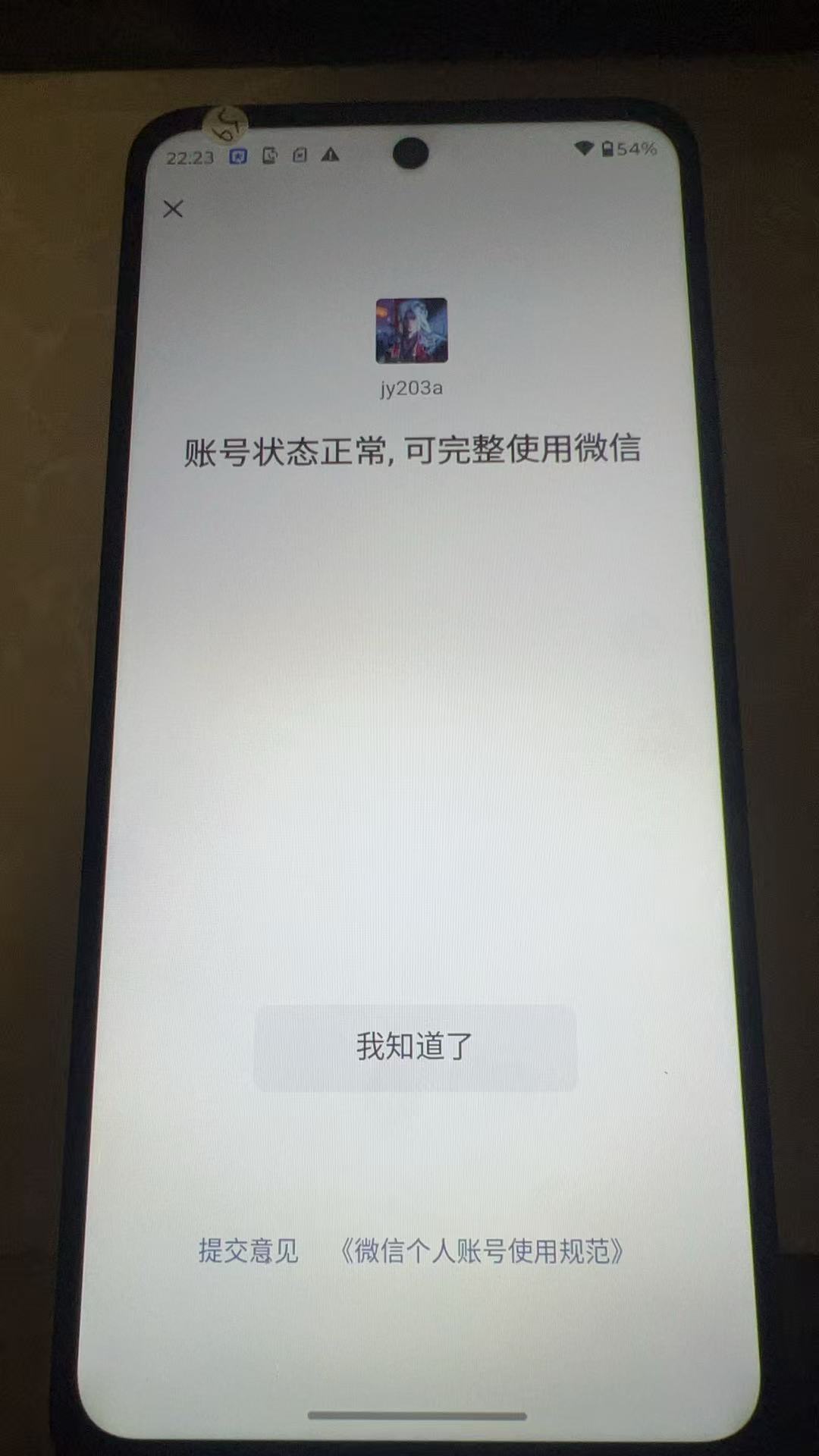 WZQM4177300王者荣耀账号详情图4
