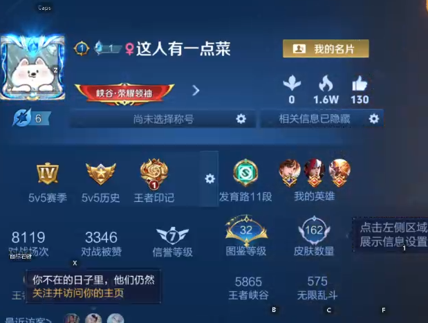 WZQM4178195王者荣耀账号详情图9