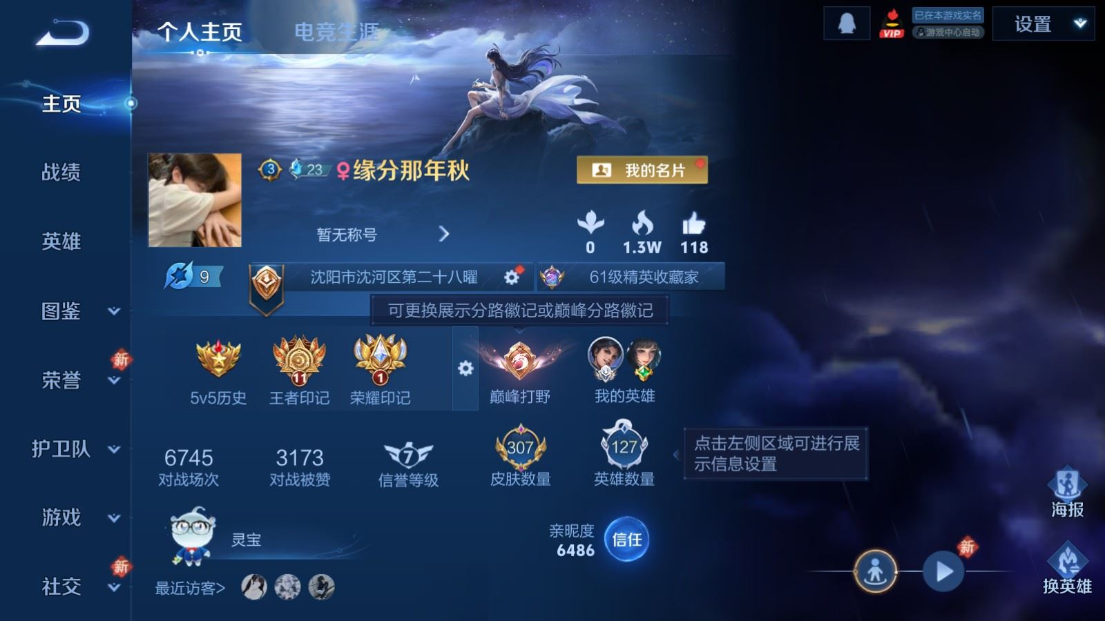 WZCMW4183832王者荣耀账号详情图3