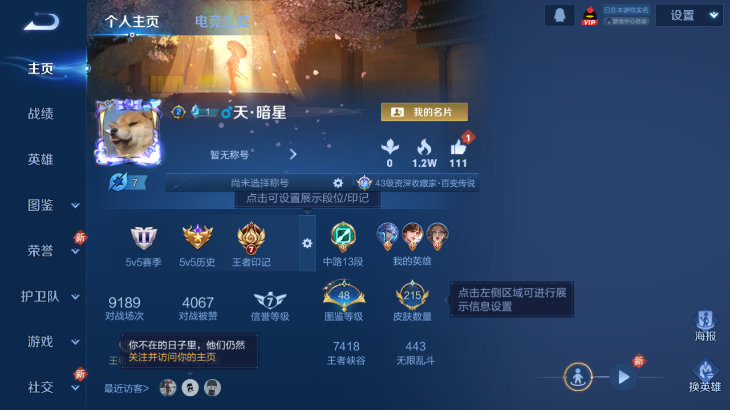 WZQM4190805王者荣耀账号详情图3