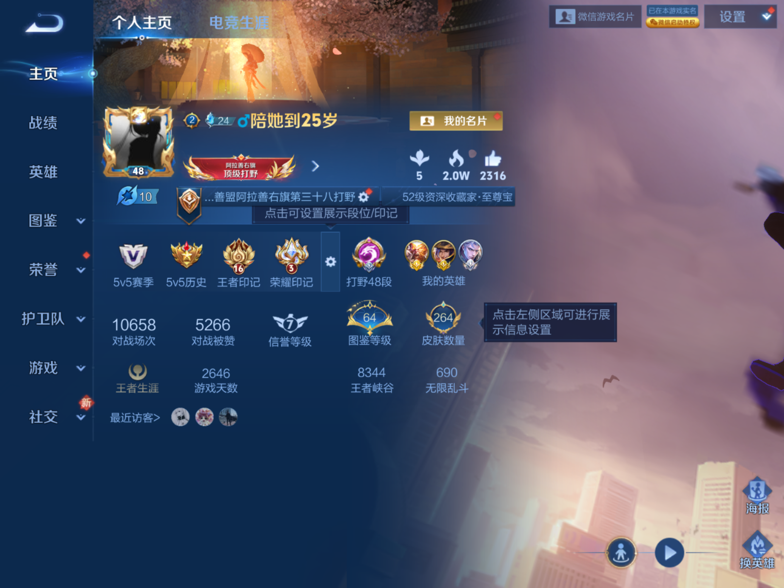 WZQM4196690王者荣耀账号详情图3 WZQM4196690王者荣耀账号详情图3