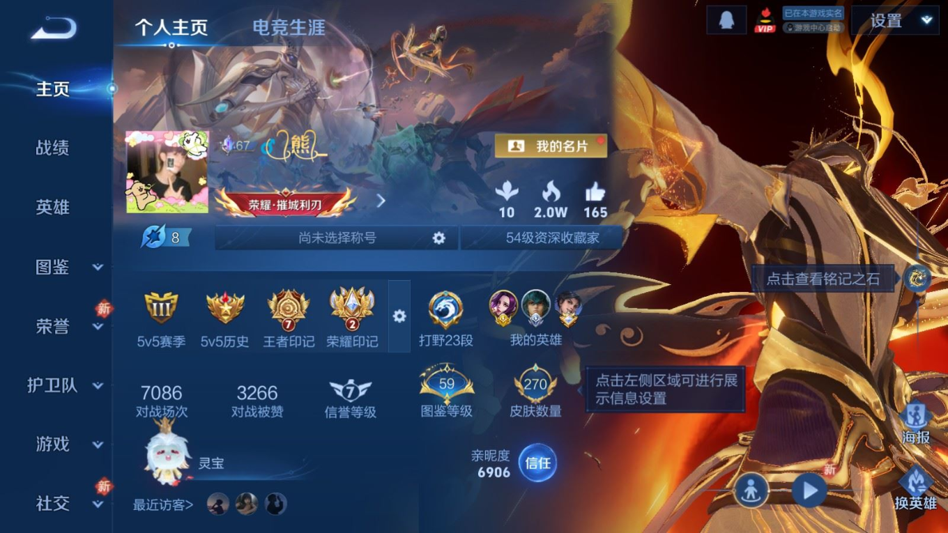 WZQM4198893王者荣耀账号详情图4