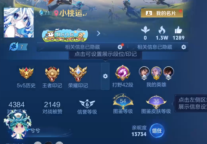 WZQM4207371王者荣耀账号详情图9