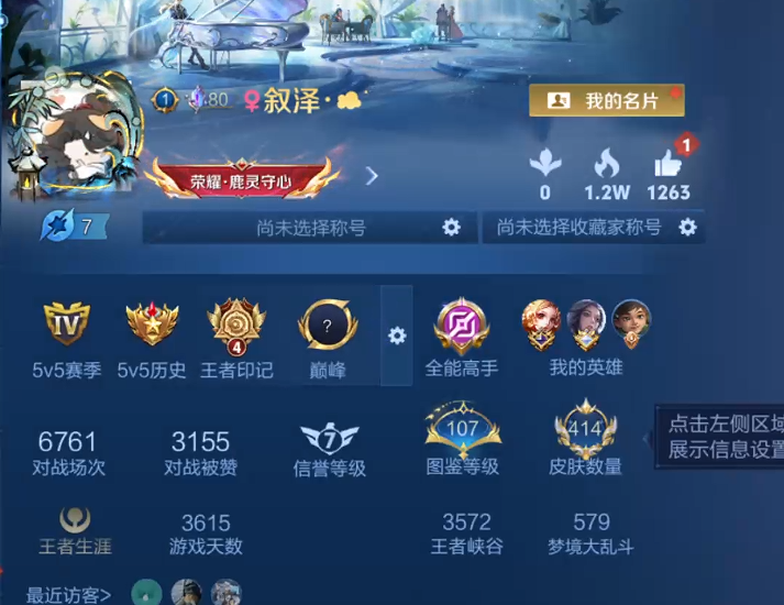 WZQM4204232王者荣耀账号详情图11