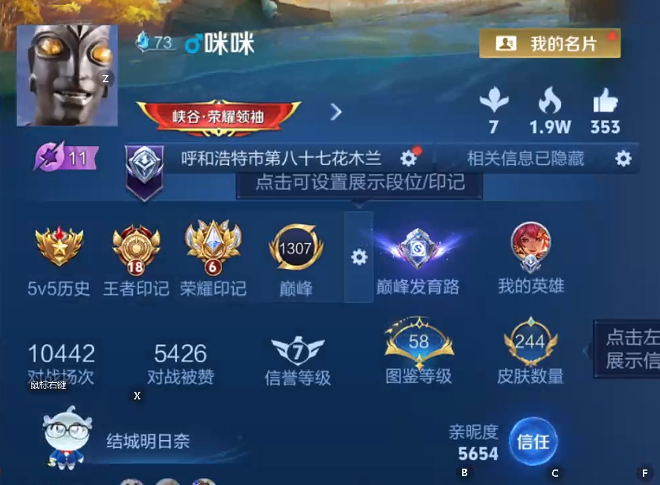 WZQM4207450王者荣耀账号详情图9