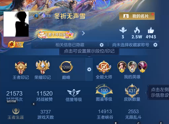 WZQM4206323王者荣耀账号详情图10