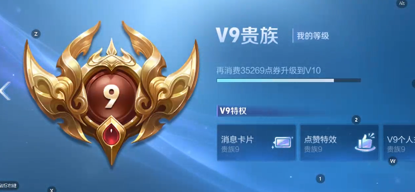 WZQM4206323王者荣耀账号详情图5