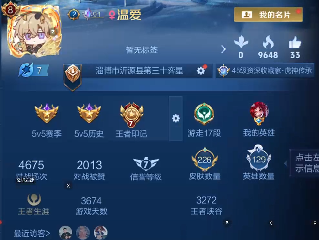 WZQM4207307王者荣耀账号详情图10