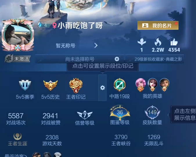 WZQM4211096王者荣耀账号详情图11