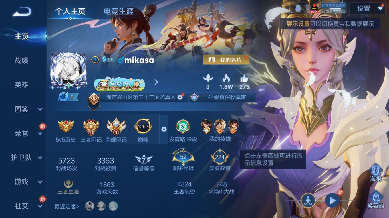 WZQM4207533王者荣耀账号详情图4