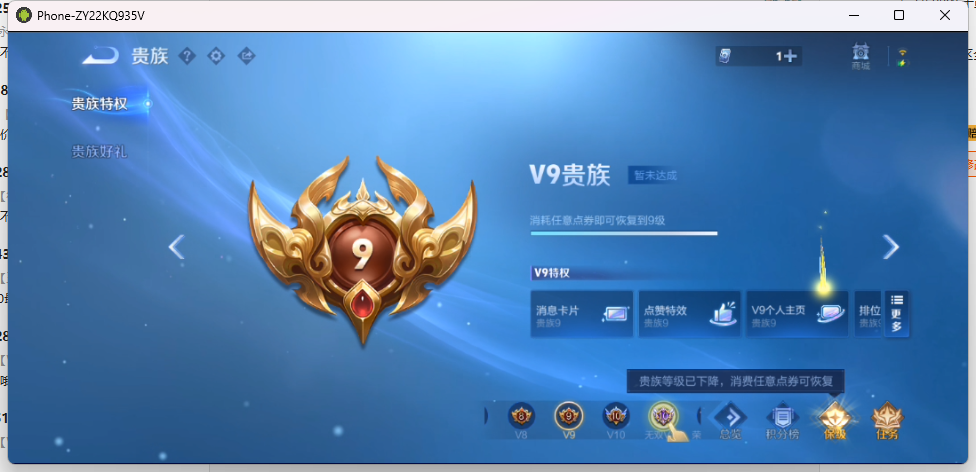 WZQM4208509王者荣耀账号详情图9