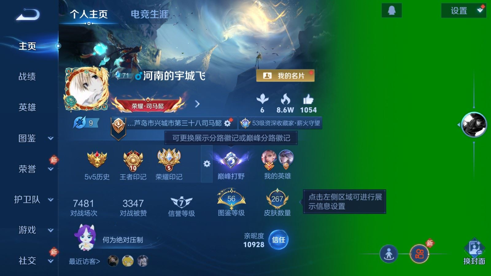 WZQM4216318王者荣耀账号详情图3