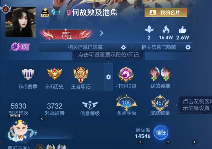 WZQM4228191王者荣耀账号详情图11