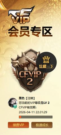 CFCMW460965穿越火线账号详情图10