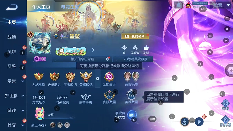 WZQM4246035王者荣耀账号详情图5 WZQM4246035王者荣耀账号详情图5