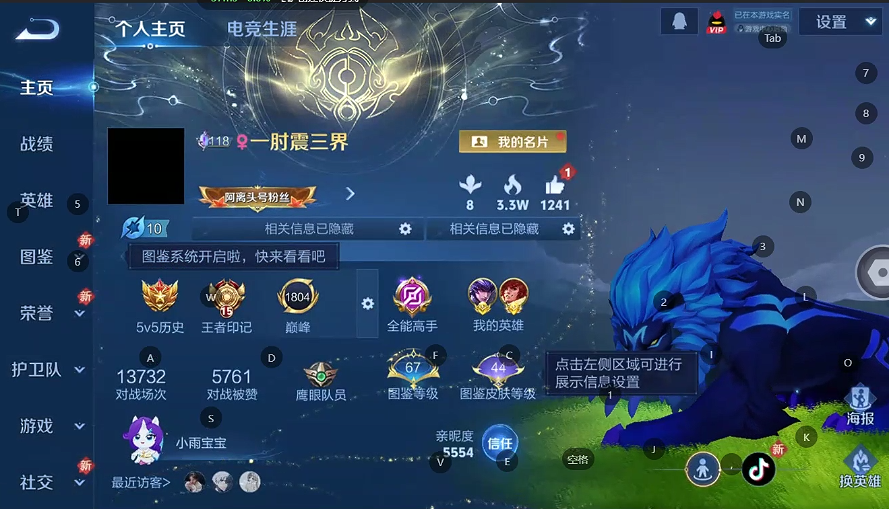 WZQM4231795王者荣耀账号详情图3