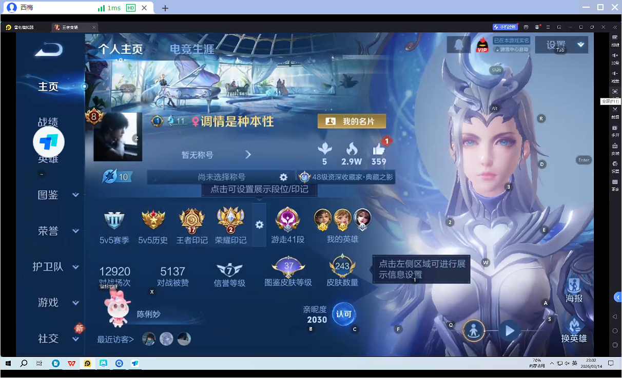 WZQM4231864王者荣耀账号详情图12