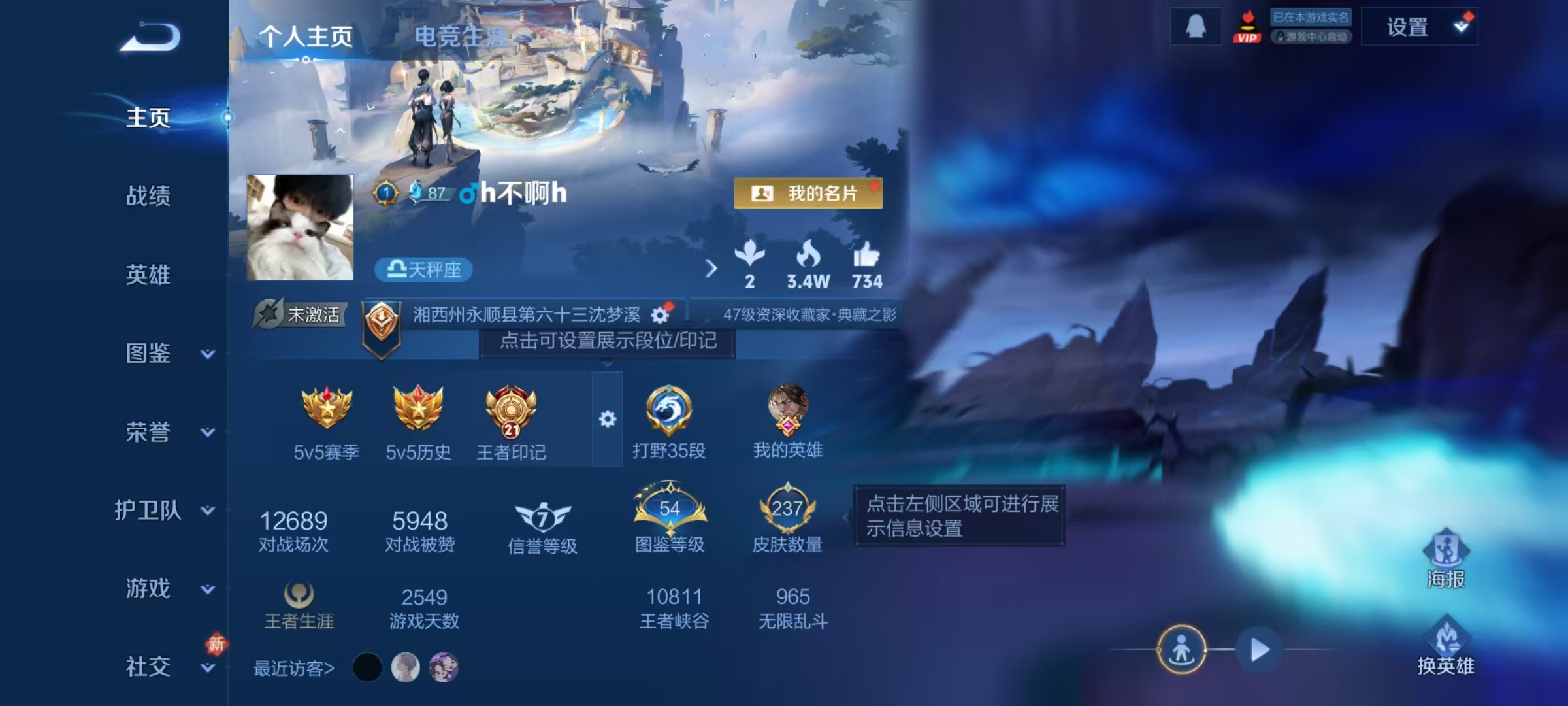 WZQM4231963王者荣耀账号详情图9