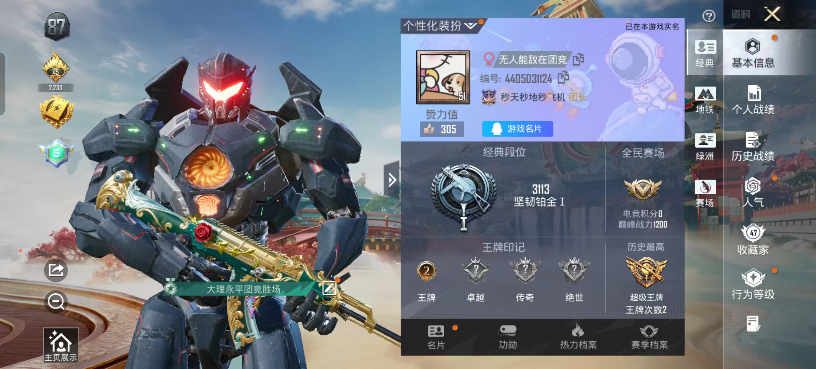 HPCMW4135135和平精英账号详情图5