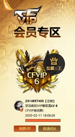 CFQM462494穿越火线账号详情图31