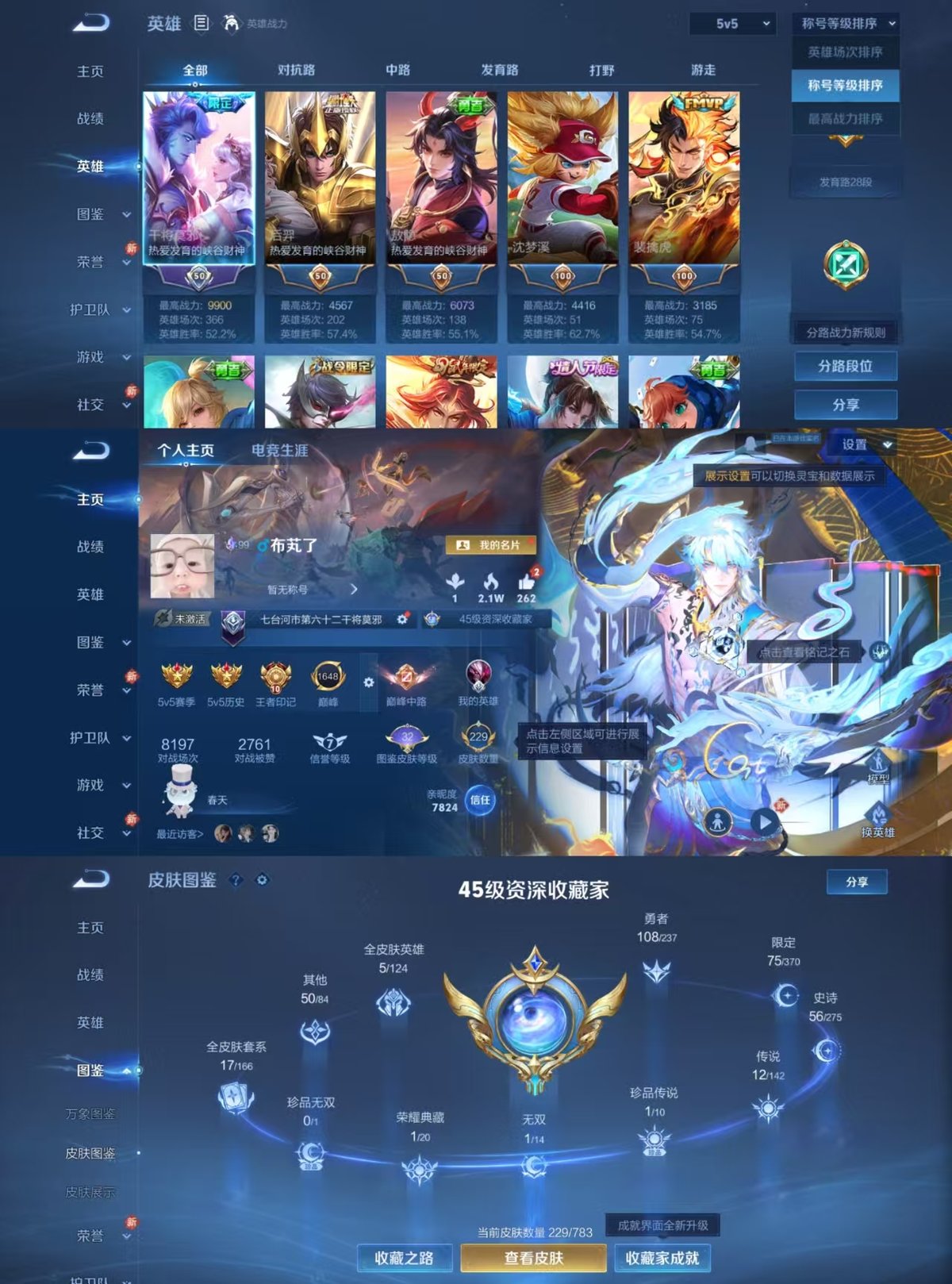 WZQM4238592王者荣耀账号详情图8