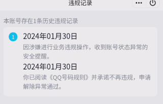 WZQM4247761王者荣耀账号详情图11