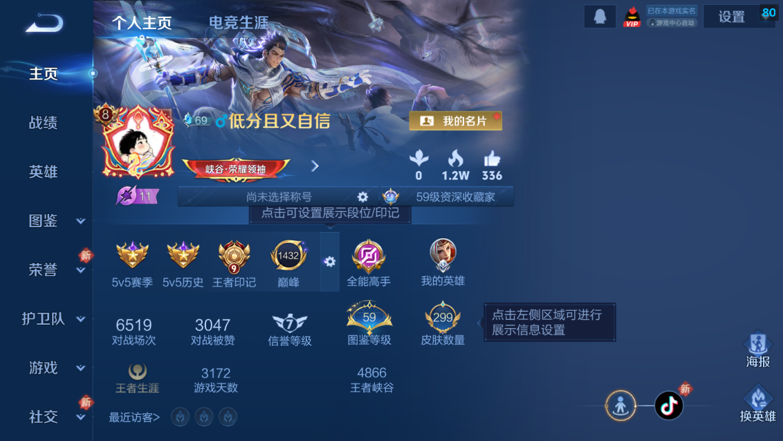 WZQM4239113王者荣耀账号详情图12